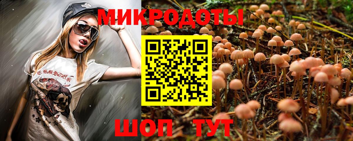 Галлюциногенные грибы прущие грибы Междуреченск