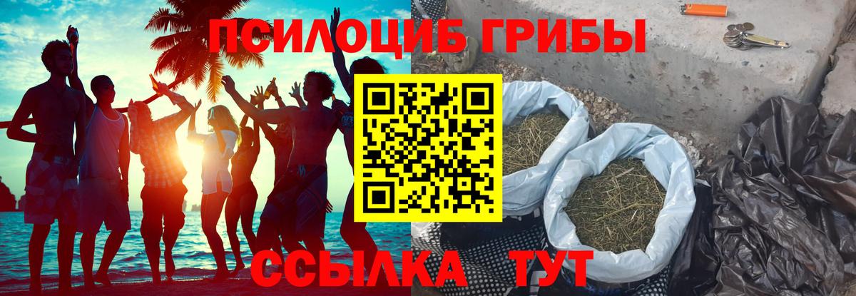 Междуреченск  Галлюциногенные грибы Cubensis  Вход с VPN 